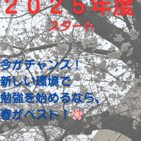 画像504
