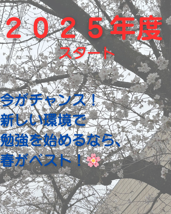 画像504