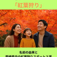 画像882
