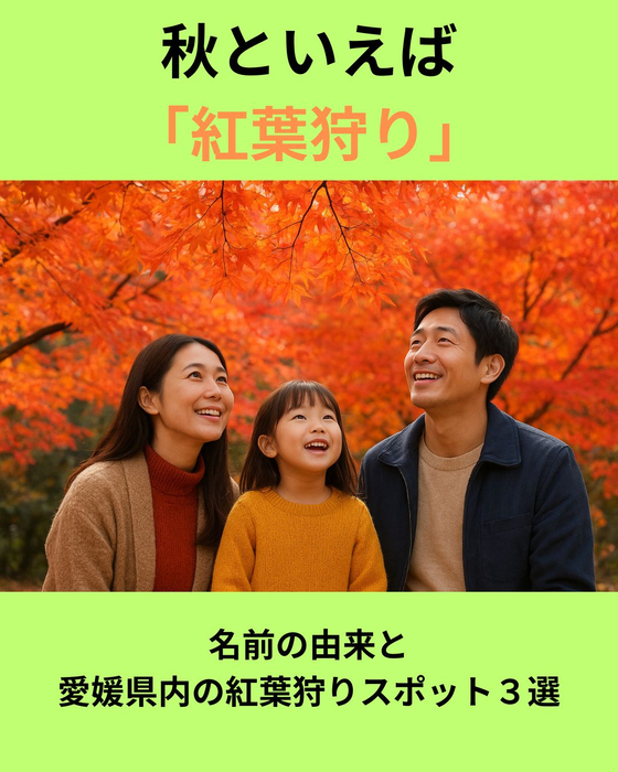 画像882