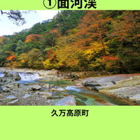 画像883