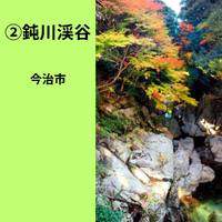 画像884