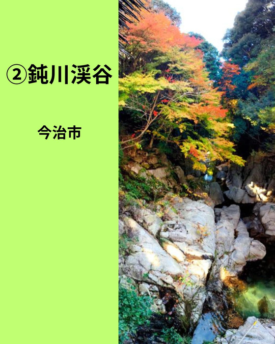 画像884